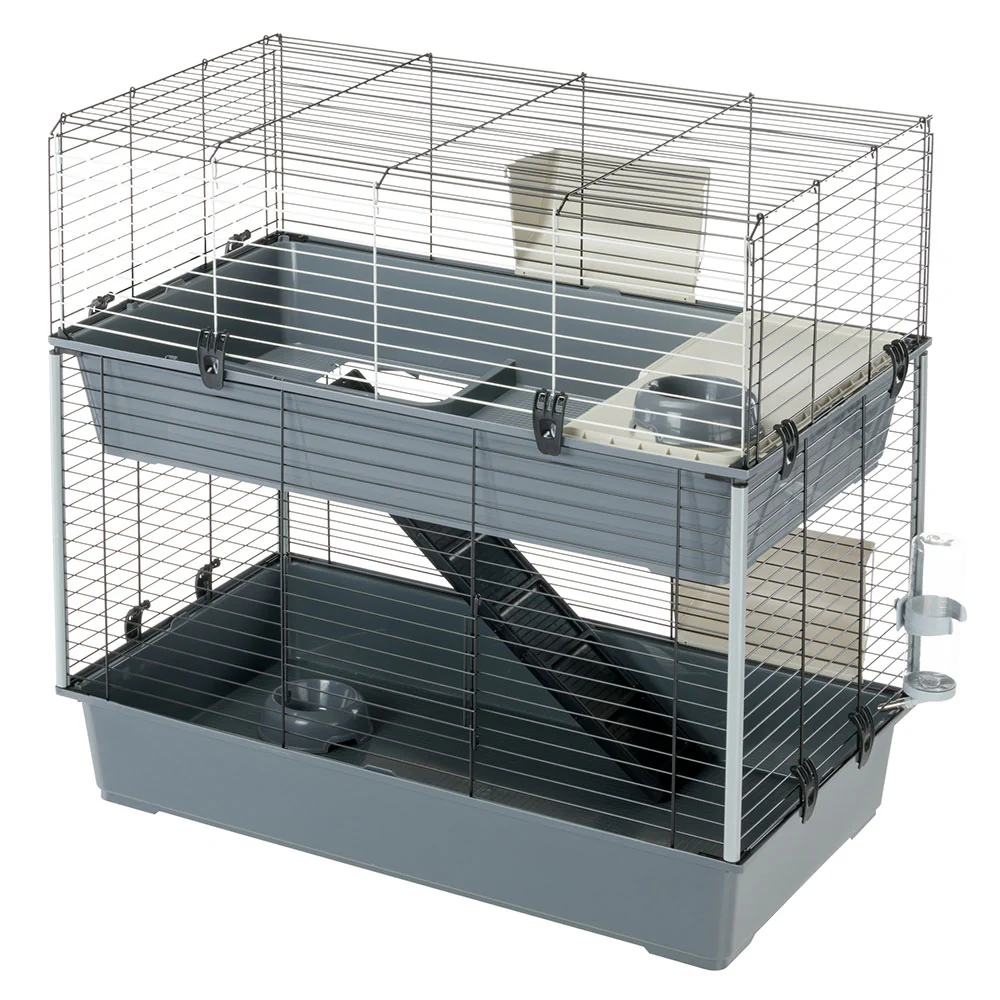 Rodents News